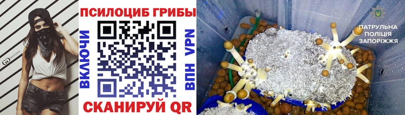 Псилоцибиновые грибы мухоморы  Саров 